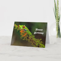 Red Eyed Tree Frog Photo Birthday