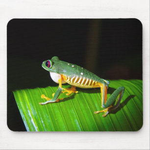 Red-Eyed Tree Frog Photography Mouse Pad