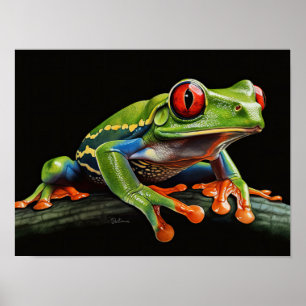 Red eyed tree frog poster