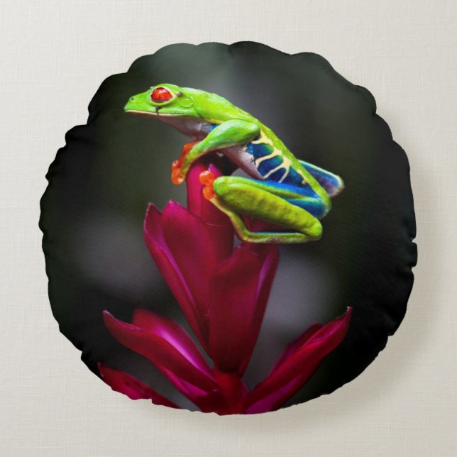 Red-eyed Tree Frog Round Pillow (Front)