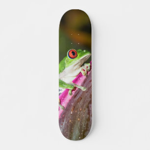 Red-Eyed Tree Frog Skateboard