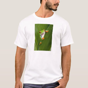 Red eyed tree frog T-Shirt