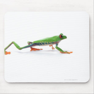 Red eyed tree frog walking mouse pad
