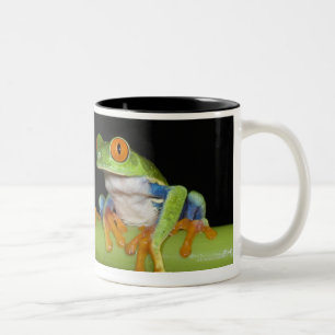 Red-eyed Tree Frogs (Agalychnis callidryas) Two-Tone Coffee Mug
