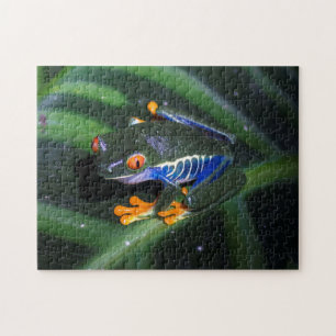 Red Eyes Frog On Leaf Jigsaw Puzzle