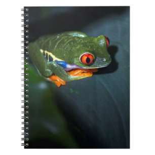 Red Eyes Frog Sitting Notebook