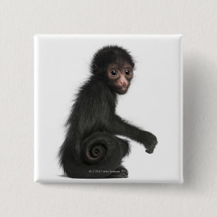 Red-faced Spider Monkey - Ateles paniscus (3 2 Inch Square Button