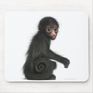 Red-faced Spider Monkey - Ateles paniscus (3 Mouse Pad