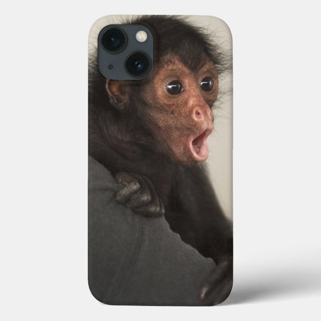 Red-faced Spider Monkey Ateles paniscus) Case-Mate iPhone Case (Back)