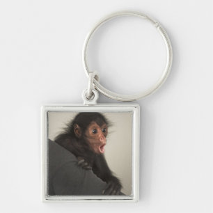 Red-faced Spider Monkey Ateles paniscus) Keychain