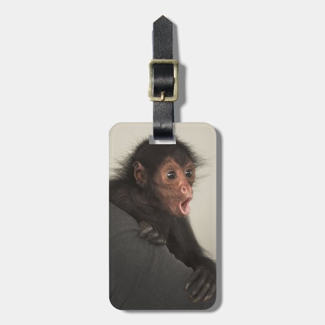 Red-faced Spider Monkey Ateles paniscus) Luggage Tag (Front Vertical)