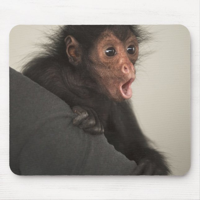 Red-faced Spider Monkey Ateles paniscus) Mouse Pad (Front)
