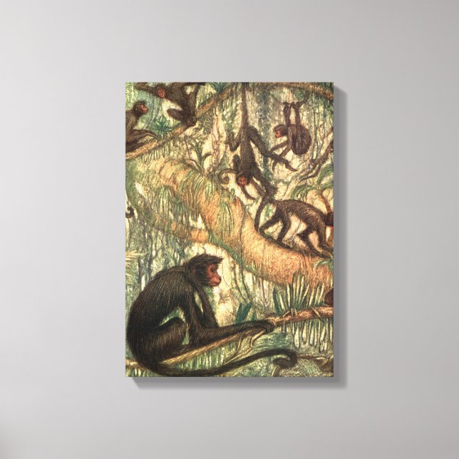 Red Faced Spider Monkeys by Louis Sargent Canvas Print (Front)