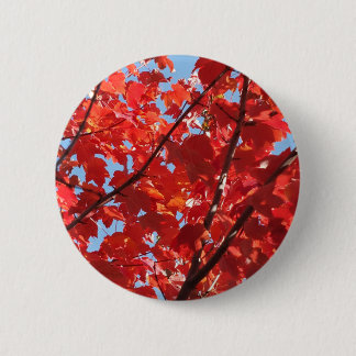 Red Fall 2 Inch Round Button