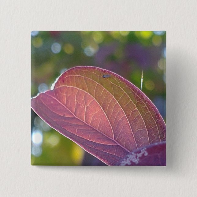 Red Fall Leaf And Bokeh 2 Inch Square Button (Front)