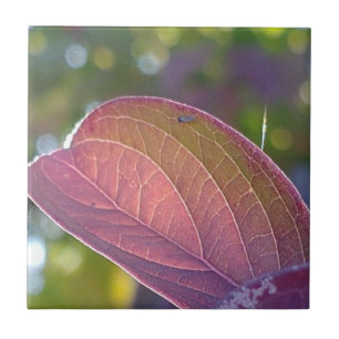 Red Fall Leaf And Bokeh Tile