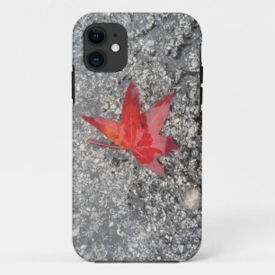 Red fall leaf in rain on grey textured road iPhone 11 case