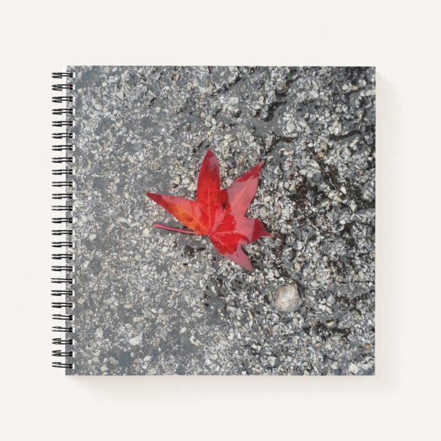 Red fall leaf in rain on grey textured road notebook (Front)