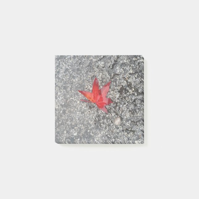 Red fall leaf in rain on grey textured road post-it notes (Front)