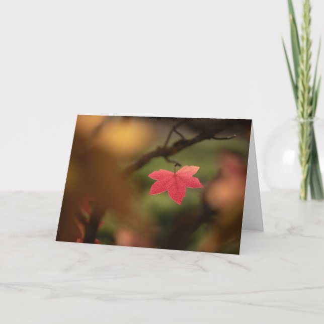 Red Fall Leaf Nature Photo Card (Front)