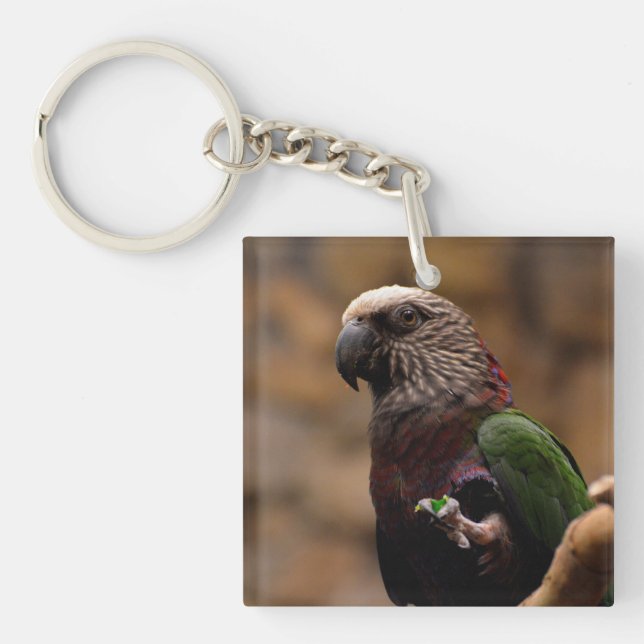 Red Fan Parrot Keychain (Front)