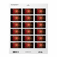 Red fansy fractal flower 