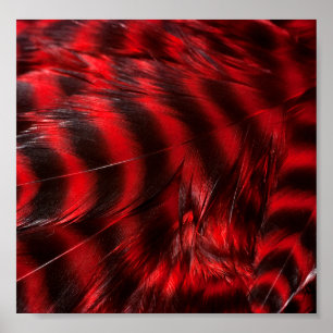 Red Feathers Poster