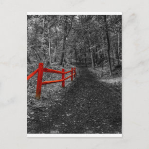 Red Fence Postcard