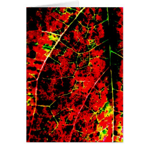 Red Fire Abstract Card