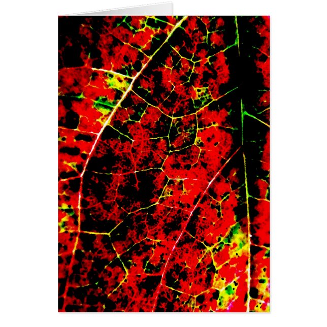 Red Fire Abstract Card (Front)