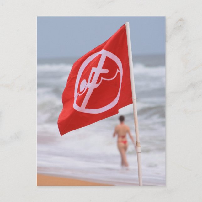 Red Flag on the Beach  --  Florida Postcard (Front)