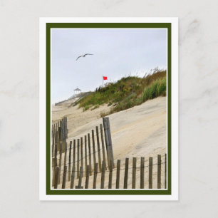 Red Flag On the Dunes Postcard