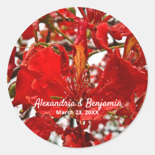 Red Floral Flamboyant Personalize Nature Classic Round Sticker