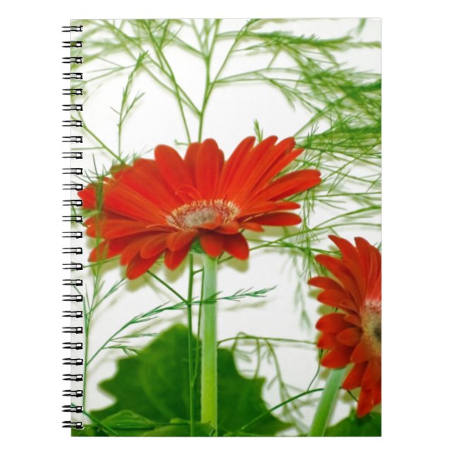 Red Floral Notebook (Front)