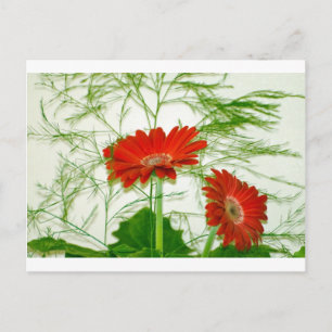 Red Floral Postcard