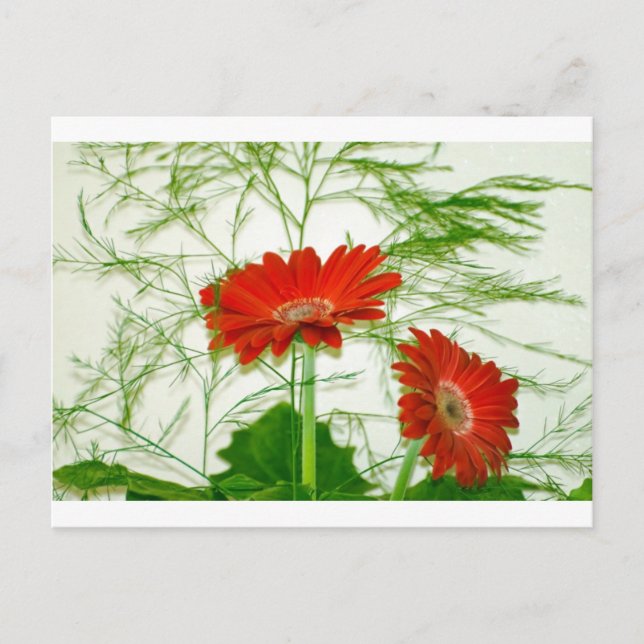 Red Floral Postcard (Front)