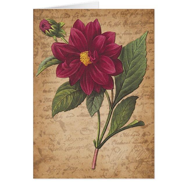 Red Flower and Letter (Front)