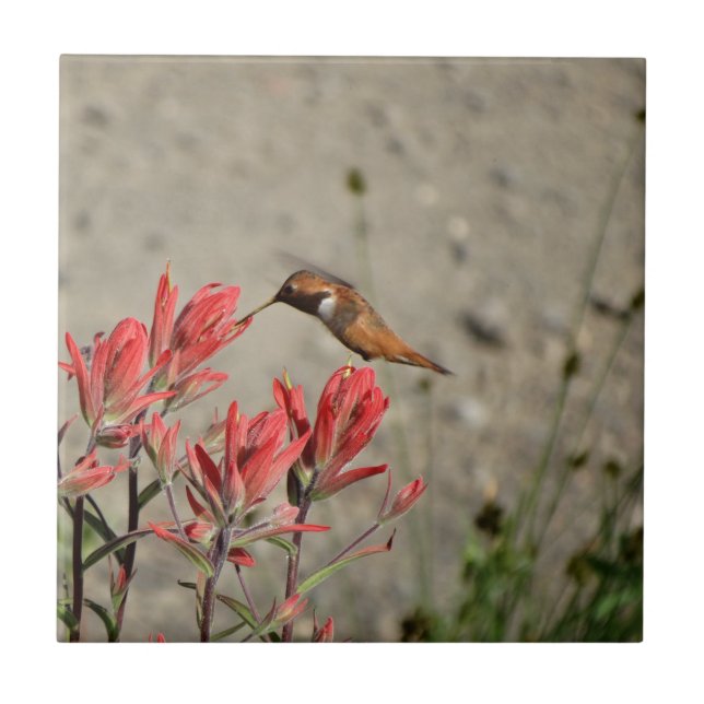 Red flower bird tile (Front)
