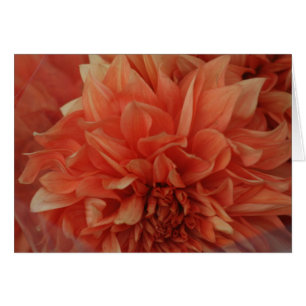 Red Flower card *Blank