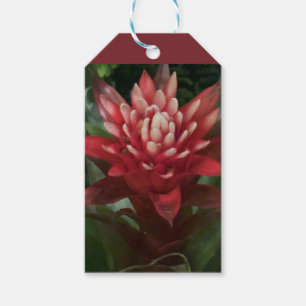 Red Flower Gift Tags