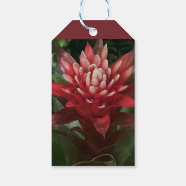 Red Flower Gift Tags (Front)