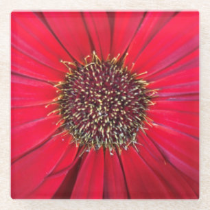 Red Flower Glass Coaster