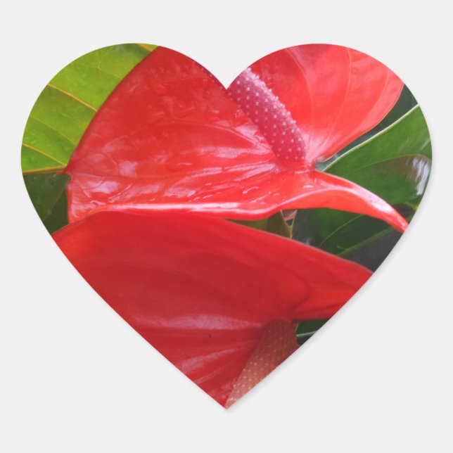 Red Flower Heart Sticker (Front)