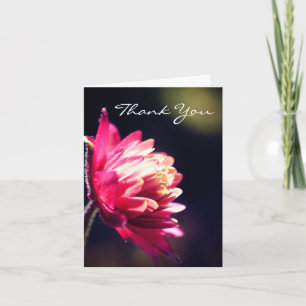 Red Flower In Sunlight Thank You Card