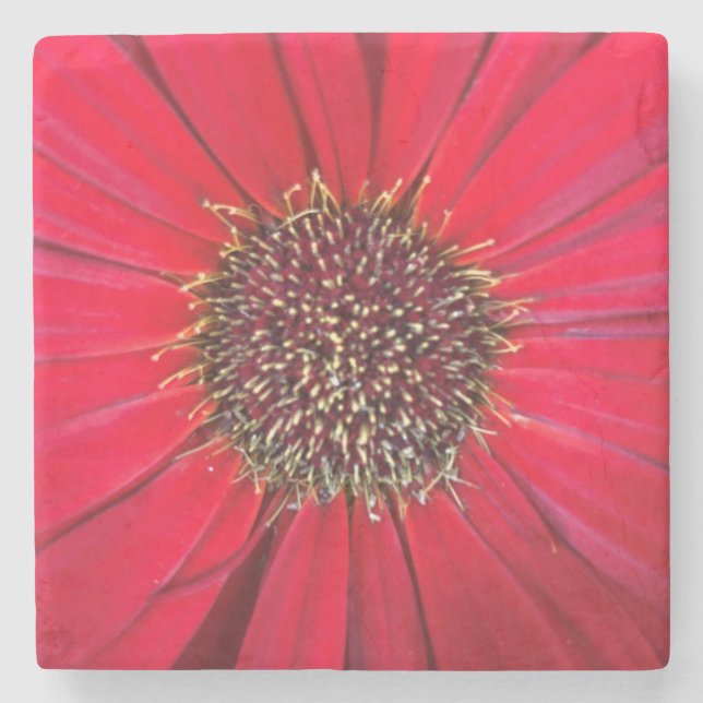 Red Flower Marble Stone Coaster (Front)
