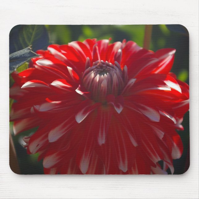 Red flower mousepad (Front)