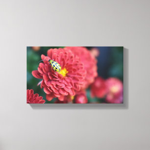 Red Flower Nature Photography Beetle Insect Bug Canvas Print