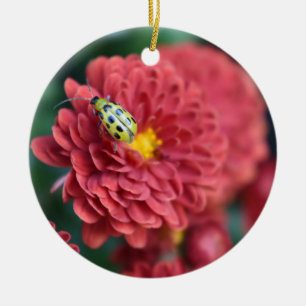 Red Flower Nature Photography Beetle Insect Bug Ceramic Ornament