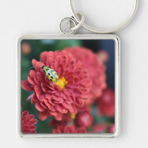 Red Flower Nature Photography Beetle Insect Bug Keychain