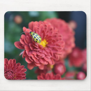 Red Flower Nature Photography Beetle Insect Bug Mouse Pad